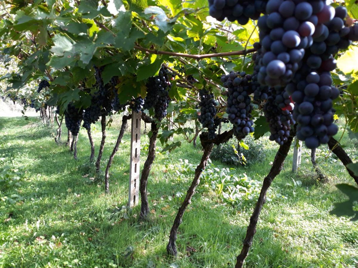 Agriturismo Villa Stella Rivoli Veronese Εξωτερικό φωτογραφία